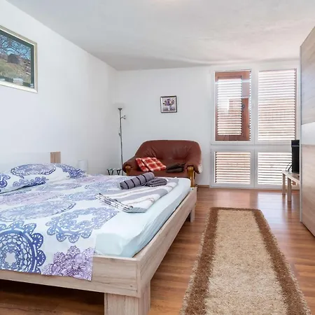 公寓 Sunny 扎达尔